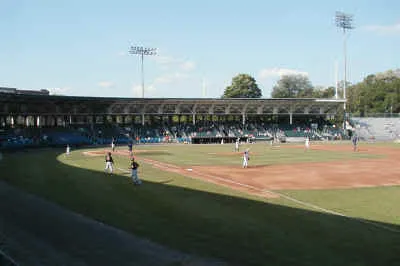 Foul Ball Liability In Connecticut