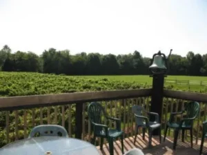 Viñedos de Connecticut